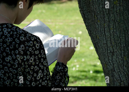 girl reads book in the park Stock Photo