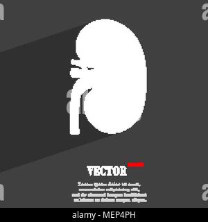 Kidney symbol Flat modern web design with long shadow and space for your text. Vector illustration Stock Vector