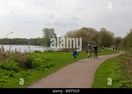 Watermead Country Park in Leicestershire, England. A family with a small child walking on one of the many paths around the lakes in the park. Stock Photo