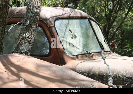 Rusty old truck in overgrown junkyard Stock Photo