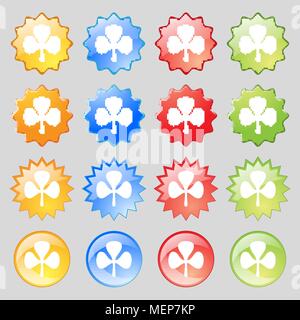 Clover icon sign. Big set of 16 colorful modern buttons for your design. Vector illustration Stock Vector