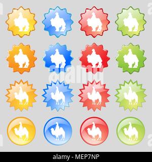 Camel icon sign. Big set of 16 colorful modern buttons for your design. Vector illustration Stock Vector