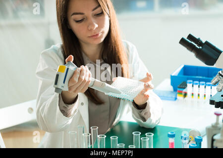 student woman with multi pipette and other PCR items in microbiological / genetic laboratory Stock Photo