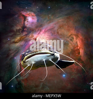 Abstract photo illustration of a catfish flying in space with colorful nebula. Stock Photo