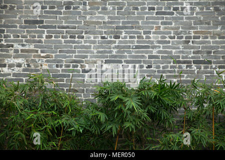 Gray bricks wall with plants Stock Photo