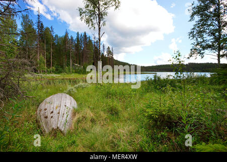 An old wooden rowboat lies upside down at the shore of a forest lake on a sunny summer day Stock Photo