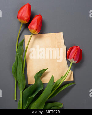 natural tulips flowers on dark gray background, old paper sheet for text - love and holiday concept Stock Photo