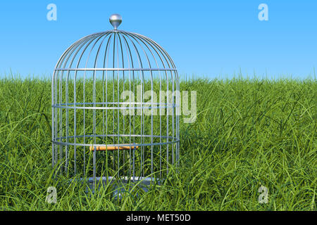 Bird cage in the green grass against blue sky, 3D rendering Stock Photo