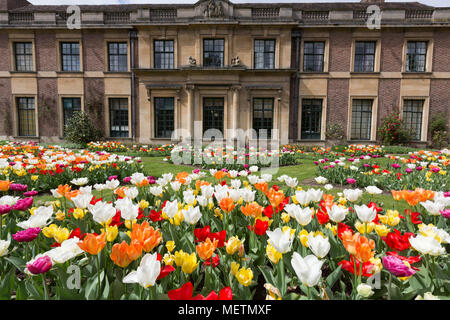 Eltham, United Kingdom. 23rd April, 2018. 40,000 tulips have been planted for the Eltham Palace Tulip Festival which lasts until mid May. Eltham Palace, managed by English Heritage, was a favourite palace of King Henry IV and it is where Henry VIII spent much of his childhood. Rob Powell/Alamy Live News Stock Photo