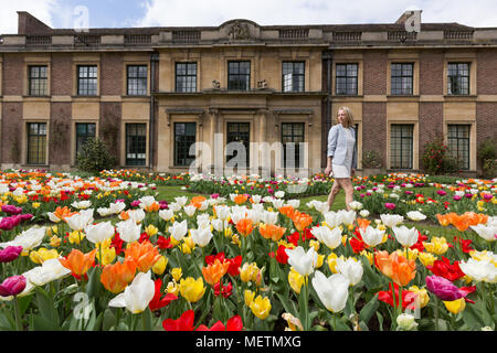 Eltham, United Kingdom. 23rd April, 2018. Elizabeth Cooper from London pictured enjoying the Tulip Festival at Eltham Palace. 40,000 tulips have been planted for the festival which lasts until mid May. Eltham Palace, managed by English Heritage, was a favourite palace of King Henry IV and it is where Henry VIII spent much of his childhood. Rob Powell/Alamy Live News Stock Photo