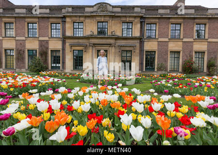 Eltham, United Kingdom. 23rd April, 2018. Elizabeth Cooper from London pictured enjoying the Tulip Festival at Eltham Palace. 40,000 tulips have been planted for the festival which lasts until mid May. Eltham Palace, managed by English Heritage, was a favourite palace of King Henry IV and it is where Henry VIII spent much of his childhood. Rob Powell/Alamy Live News Stock Photo