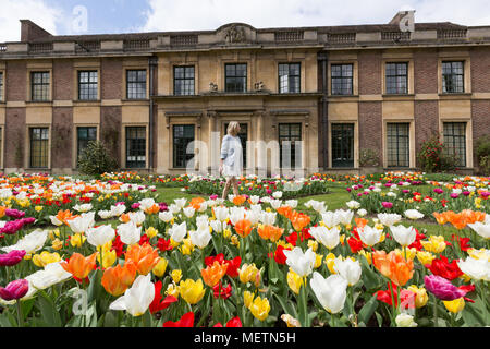 Eltham, United Kingdom. 23rd April, 2018. Elizabeth Cooper from London pictured enjoying the Tulip Festival at Eltham Palace. 40,000 tulips have been planted for the festival which lasts until mid May. Eltham Palace, managed by English Heritage, was a favourite palace of King Henry IV and it is where Henry VIII spent much of his childhood. Rob Powell/Alamy Live News Stock Photo