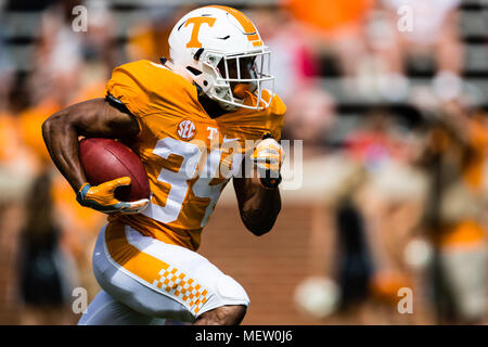 Orange team wide receiver Josh Palmer (5) makes a catch over White team  defensive back Marquill Osborne (3) during the Orange and White spring game  at Neyland Stadium on Saturday, April 21