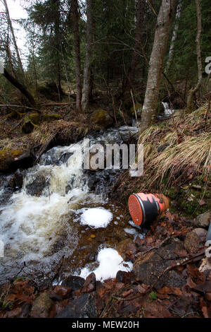 Waste water running from a pipe is causing a frothy foam on the surface of a forest creek. Stock Photo