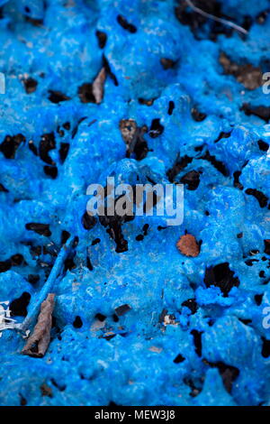 Blue melted plastic is covering a burned up garbage heap Stock Photo