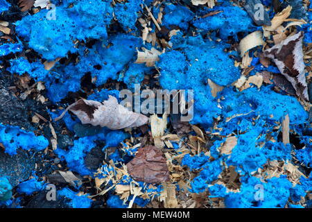 Blue melted plastic is covering a burned up garbage heap Stock Photo