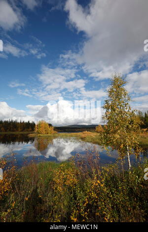 Cumulus clouds are towering over a lake in autumn. The forest on the shore is reflected in the still water. Stock Photo
