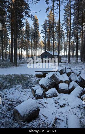 A pile of firewood is waiting to be spit in front of a wooden cottage standing in a wintry forest. Stock Photo