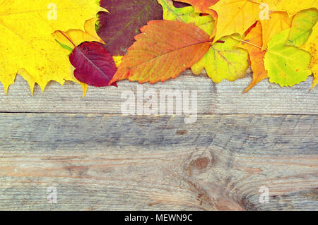 Autumn colorful leaves on the table Stock Photo