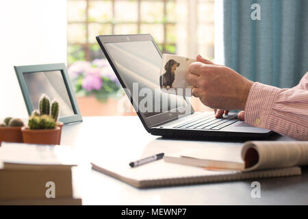 nice and comfy office environment Stock Photo
