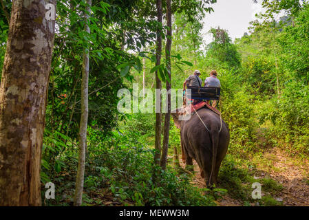 Tourists riding an elephant in Thailand Stock Photo