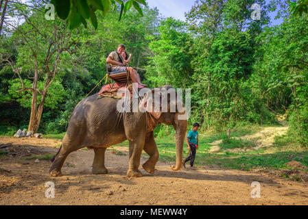 Tourists riding an elephant in Thailand Stock Photo