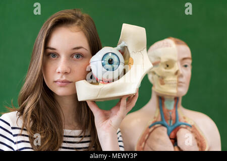 Young female high school student holding human eye model. Student examining Biology class teaching aids. Stock Photo