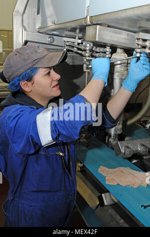 Female mechanical engineer working on machinery Stock Photo