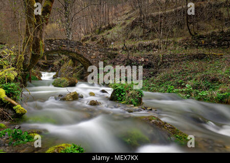 Ancient stone bridge over valley in the woods. Stock Photo
