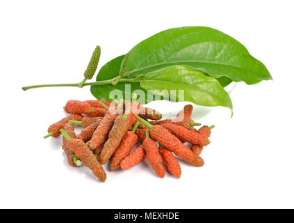 Long Pepper isolated on white background Stock Photo