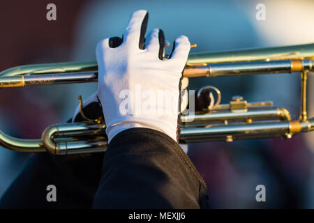 the gloved hands of a trumpet player in a marching band Stock Photo