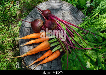 Freshly carrots and beets on an old tree stump. The top view Stock Photo