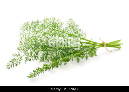 Wild fennel bunch isolated on white background Stock Photo