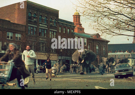 Jumanji, USA 1995 Regie: Joe Johnston Stock Photo