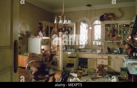 Jumanji, USA 1995 Regie: Joe Johnston Stock Photo