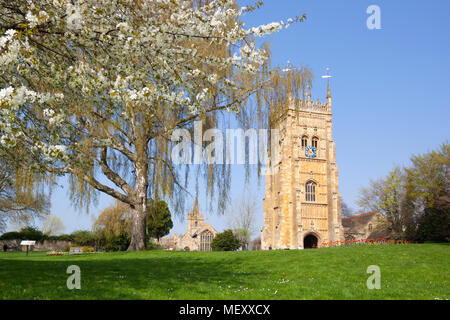 The Bell Tower of Evesham Abbey in Abbey Park with spring blossom, Evesham, Worcestershire, England, United Kingdom, Europe Stock Photo