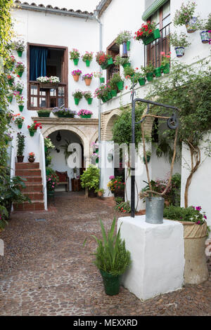 Colourful display of flowers at the Festival of the Patios, Cordoba, Andalucia, Spain, Europe Stock Photo