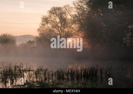 Sunrise on the Lake, Orange Sun Rising up, Thick Fog Stock Photo