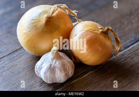 One garlic and two onions on a wooden background close up Stock Photo