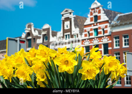 Dutch houses with yellow tulip flowers, Amsterdam, Netherlands Stock Photo