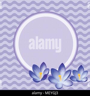 Abstract wavy holiday background with purple crocus flowers and frame with space for text. Stock Vector