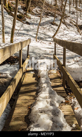 Footbridge Covered with Snow in A Forest Stock Photo