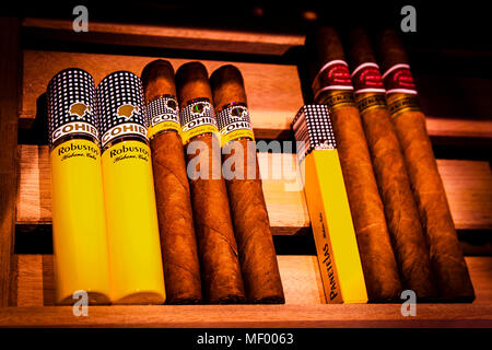 Cigars in Hotel Blow up 5050, Posen. The heart of the Davidoff Lounge: a cabinet with a fine selection of cigars Stock Photo
