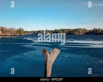 Tree stump stands alone over looking cold lake in spring. Stock Photo
