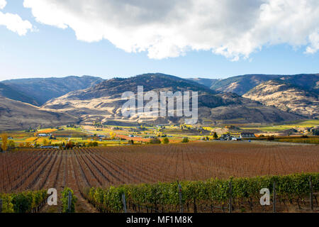 Scenic autumn view of the rural landscape and vineyards of Oliver located in the Okanagan Valley of British Columbia, Canada. Stock Photo