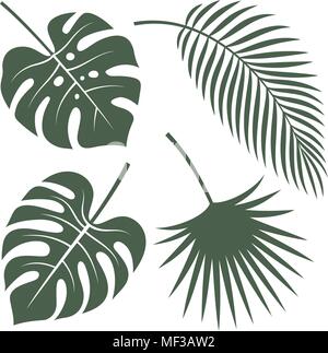 Vector silhouettes of tropical leaves. Monstera, coconut palm and fan palm Stock Vector