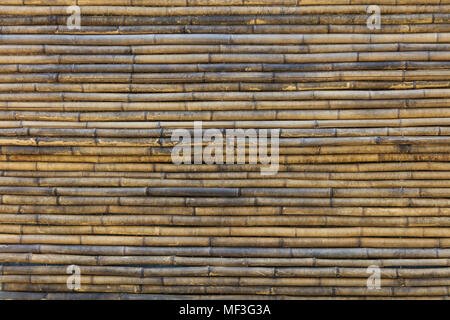 Bamboo background with horizontal lines. Brown sticks of the tropical plant, old, blank surface, close up view. Stock Photo