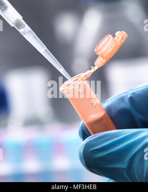 Scientist pipetting a sample into a eppendorf tube Stock Photo