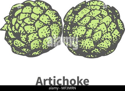 Vector illustration hand-drawn artichoke bud Stock Vector