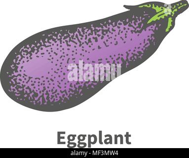 Vector illustration hand-drawn mature big eggplant Stock Vector